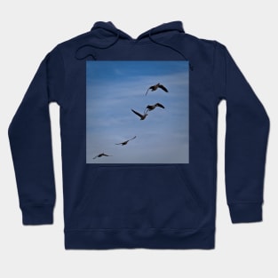 Greylag Geese in flight Hoodie